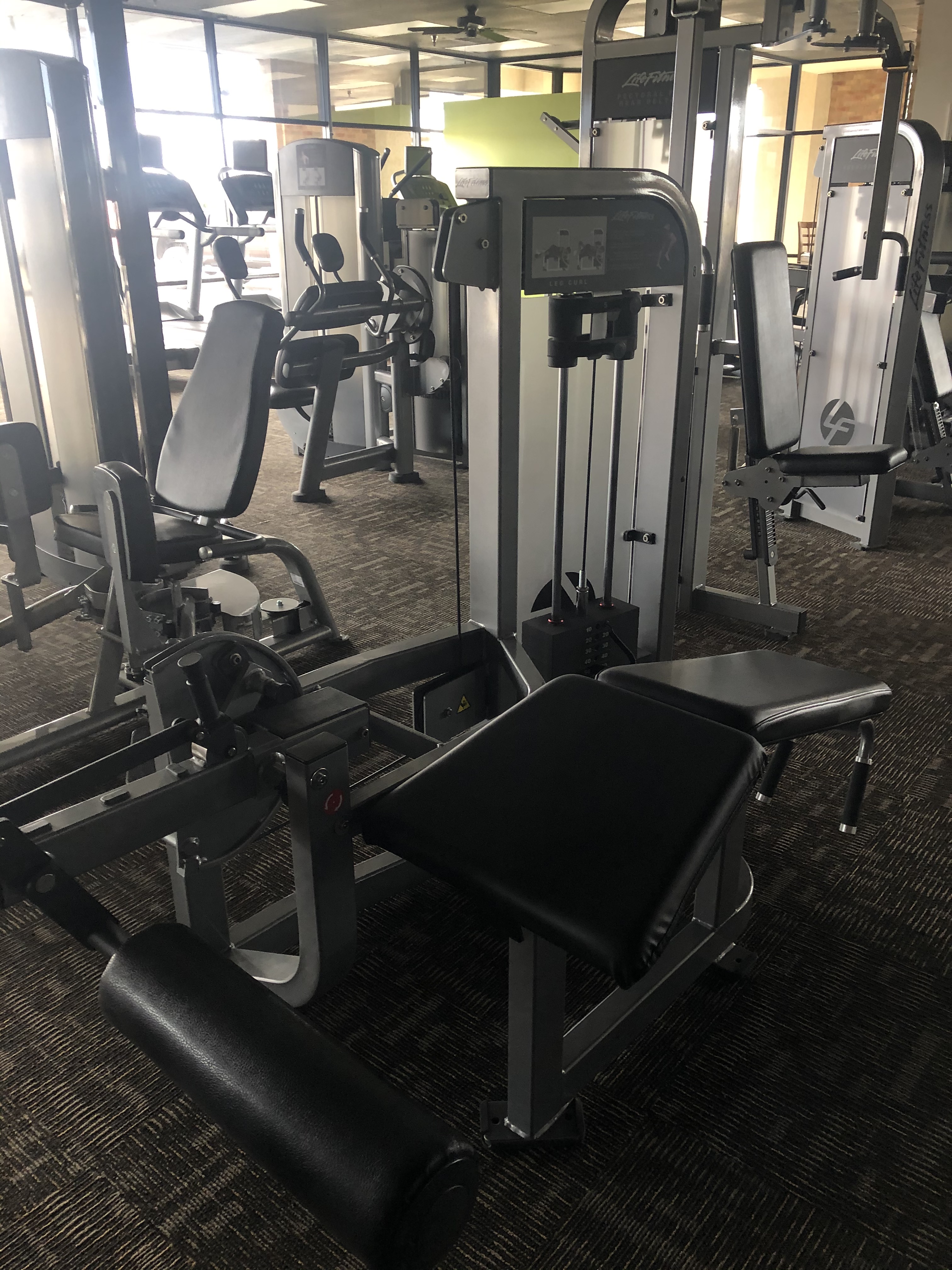  Gym equipment auction colorado for Women