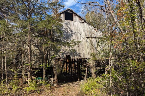 7Ulx5gAxvKUBP44EUV6UKzLp