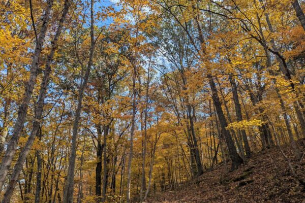 9gimhzm1nrUfrfWXvHbpCnlg