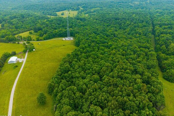 J58zdl93b9LrVqFIPHa896hD