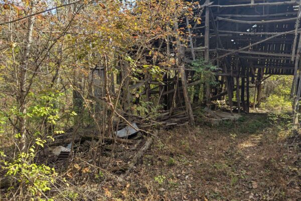 RJ8oGP681MjE7N02nDVU2iIA