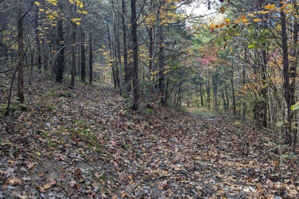 XBqnWOIsCh6Z935ETdErBGGv