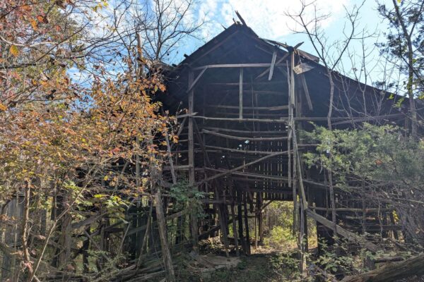 YJMlfPfybrtLLOPUrVZ764gS