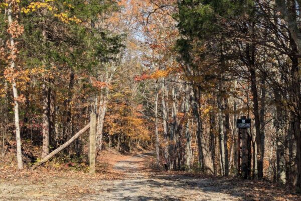 Ytkp1md8svLpqs7SuPhqDKZO