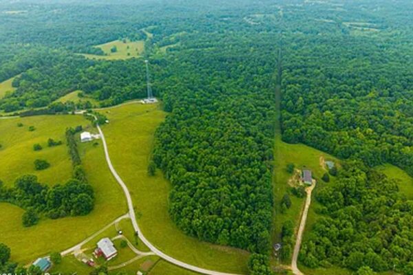 kIR6Pxe5kNnL1OXS6OW0JKBi