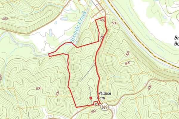 qwovl4dSdRH7BJQWftv6gca8