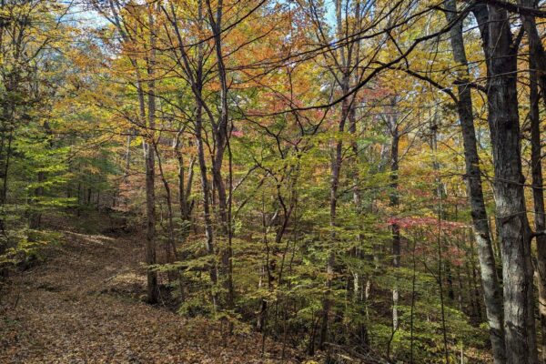 vZnokvuFyWaXeHjZhPTmmMFs